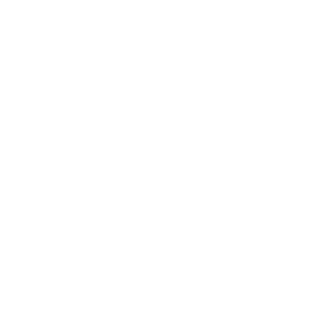 YSU Foundation Logo